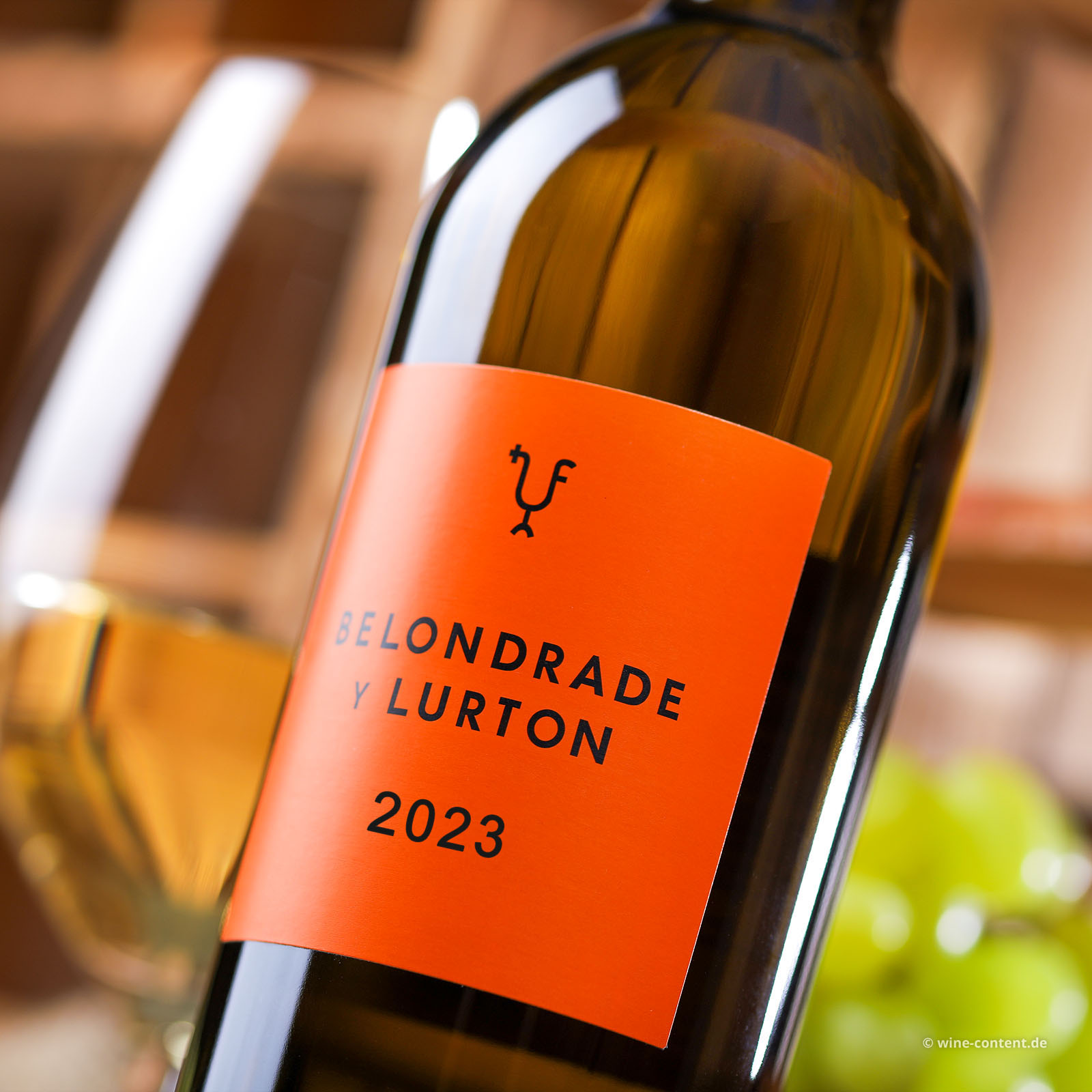 Verdejo 2023 Belondrade y Lurton Bio