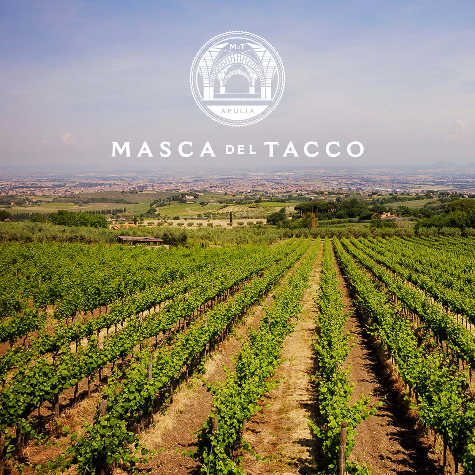 Primitivo di Manduria Riserva 2022 Piano Chiuso